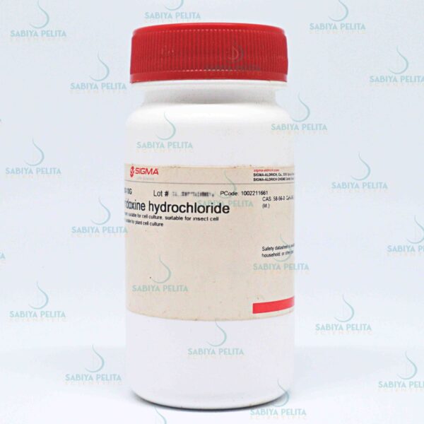 batch_IMG_0082 Pyridoxine hydrochloride suitable for cell culture Sigma-Aldrich P6280-10G