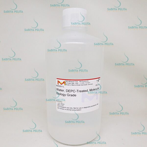 Water DEPC-Treated, molecular biology grade Sigma-Aldrich 693520-1LCN